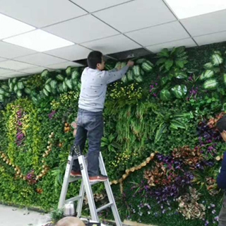 綠植墻