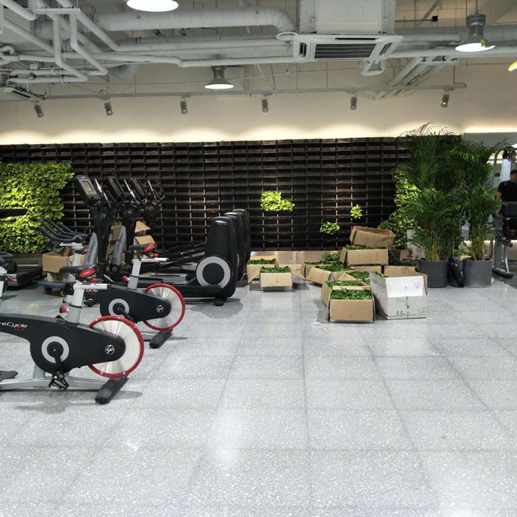 綠植墻
