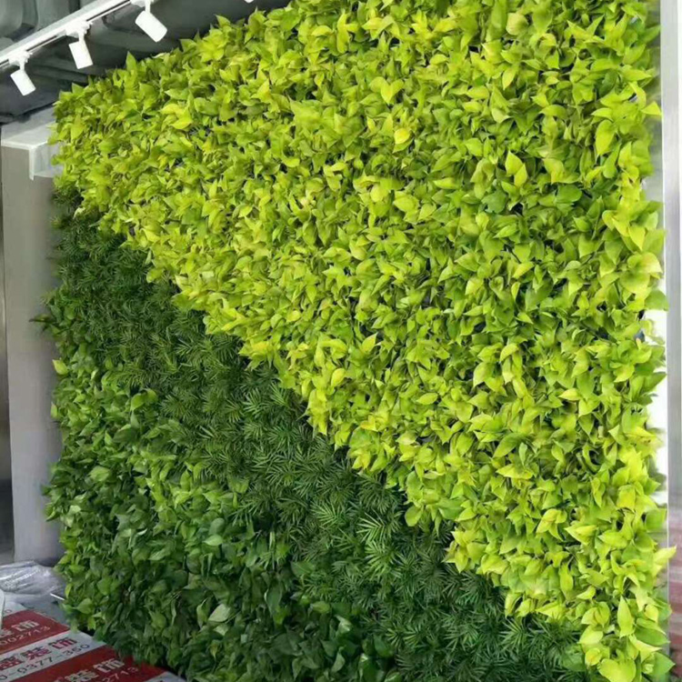 綠植墻