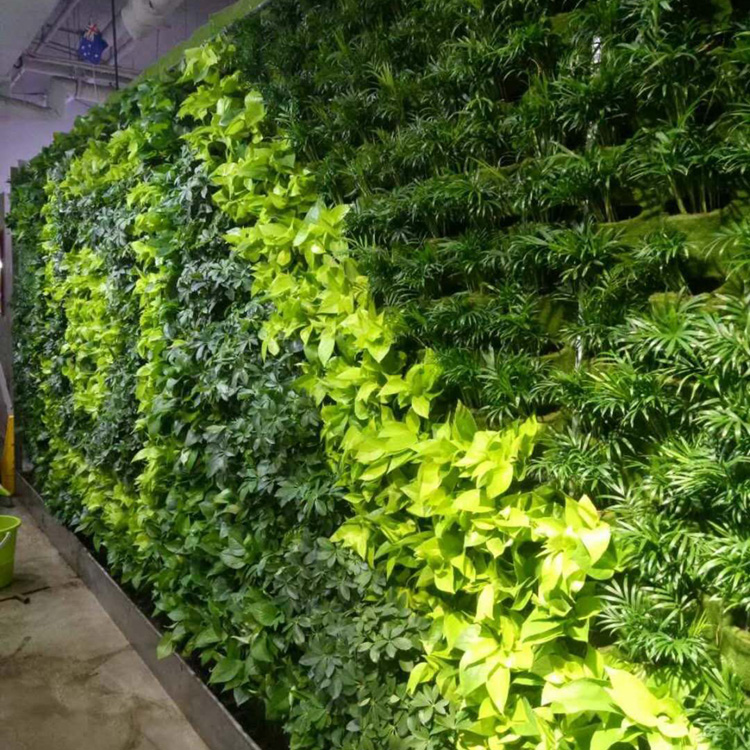 綠植墻